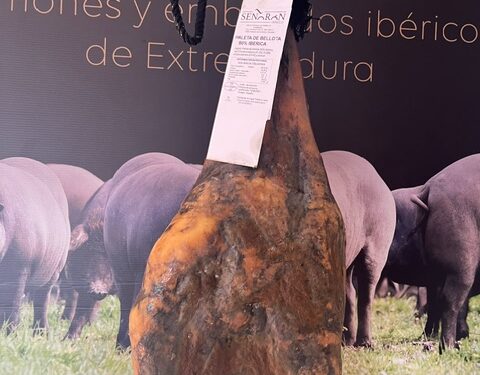 ¡Oferta! Paleta de Bellota 50% Ibérica